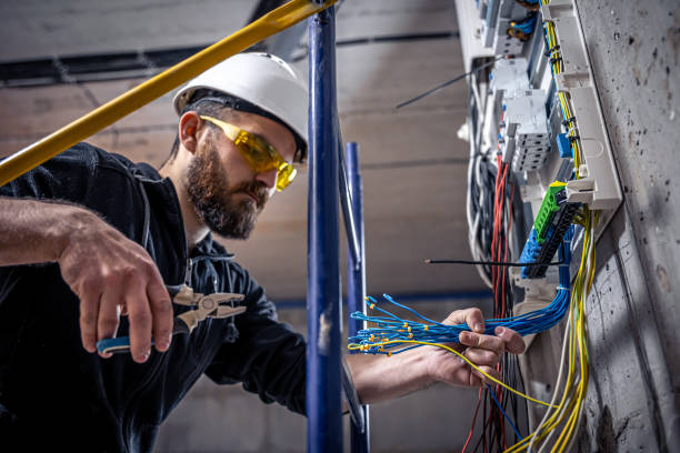 Best Home Electrical Repair  in Tolono, IL